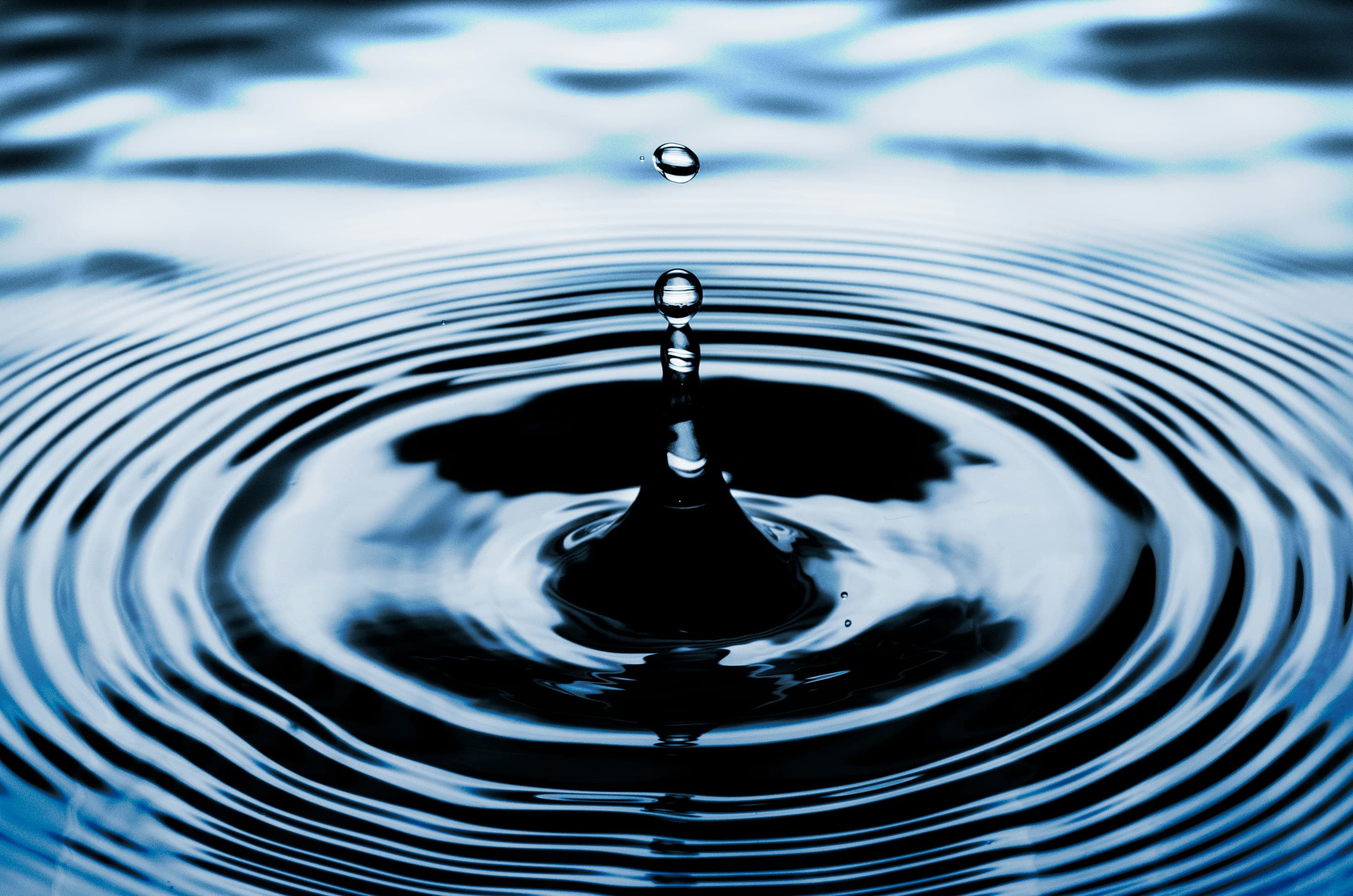 Ripples spreading outward across still water